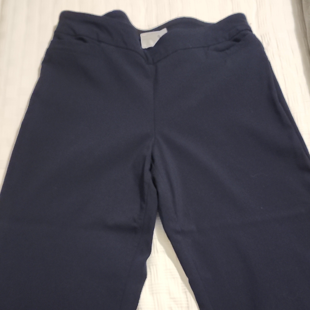 Stylish Navy Blue Pants